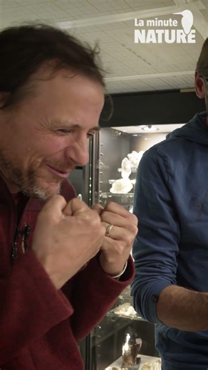 La découverte magique des cristaux