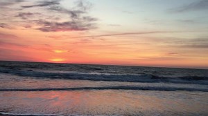 42K views · 3.6K reactions | Good morning Beach friends! “Develop an ‘Attitude of Gratitude’. Say thank you to everyone you meet for everything they do for you.”- Brian Tracy | The Beach Is My Happy Place | Facebook