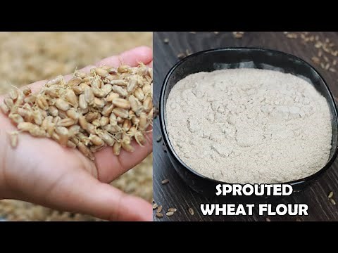 HOW TO MAKE SPROUTED WHEAT FLOUR| HOMEMADE SPROUTED WHEAT FLOUR | Sowji's Kitchen