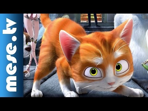 Villám és a varázsló - filmek gyerekeknek (x)