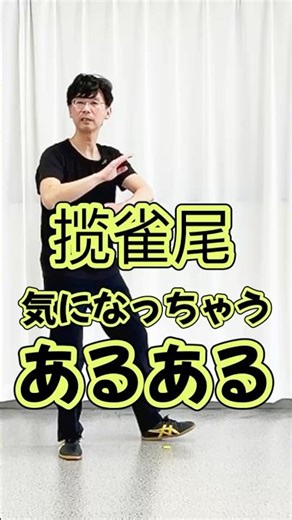 ✅ 24-style, 揽雀尾 あるある￼