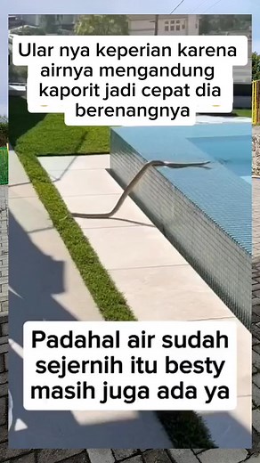 Yampon padahal jernih ih🤔🫩 Kok bisa ada gtu ya?? #reels #fypp #viral #kolamberenang #jangkauanluas | Helida Sumbayak