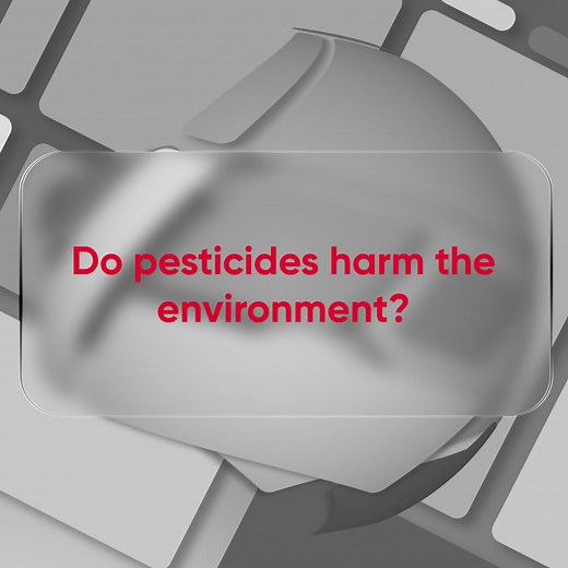 #FAQFriday: Do pesticides harm the environment? When misused, pesticides can impact pollinators, beneficial insects, and local wildlife. That’s why a professional application is key. At BUGCO, we use targeted treatments designed to be effective against pests while minimizing environmental impact. Visit https://www.bugco.org/s/f0v599z | BUGCO Pest Control Houston | Facebook