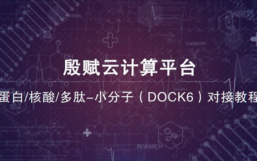蛋白/核酸/多肽-小分子对接（DOCK6）