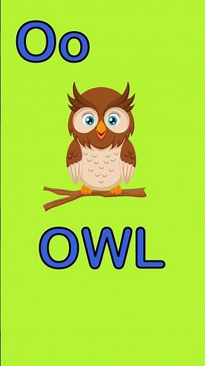 Learn the Letter O | O is for Owl 🦉 | ABC for Kids