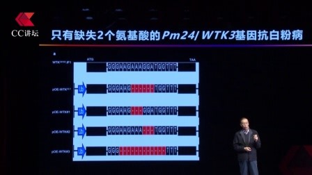 id_XNjQ1Nzc2MDgxMg==.html