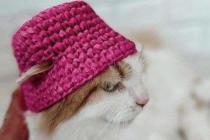 Cat Crochet Pattern PDF –crochet Cat Pattern – Crochet Cat Amigurumi – Easy Cat Crochet Pattern for Beginners – Printable - Etsy Canada