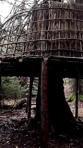 EPIC Old Treehouse in 2024 A Few Bushcraft Secrets #diy #bushcraft #shelter | Holden Moon