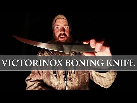 BEST knife for fish and game - Victorinox 6" boning knife