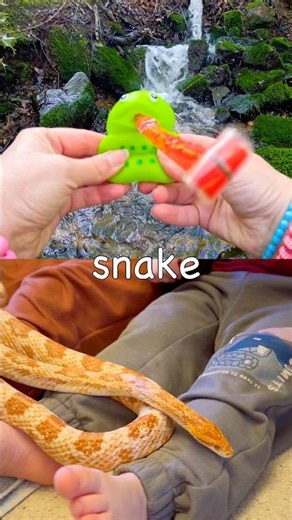 Kids Learn at the Waterfall | Animal Names: Monkey Giraffe Panda Elephant Snake