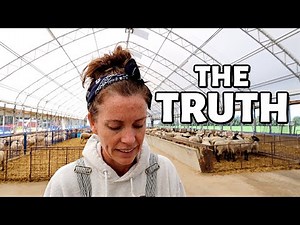 HOW I STARTED SHEEP FARMING. Vlog 346