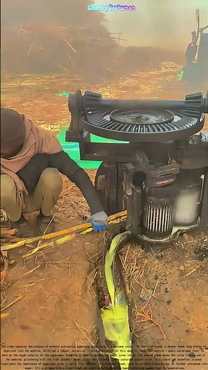 Sugarcane Juice Extraction: The Power of Manual Machines