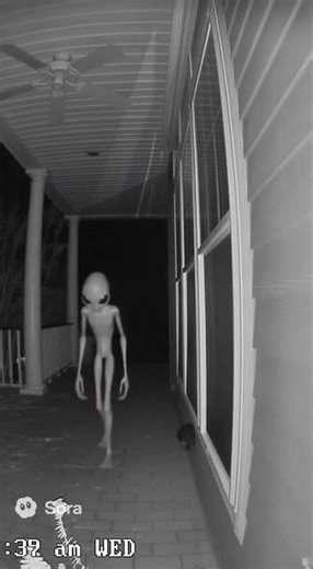 REAL Alien Caught on Front Door Camera! 👽 It Knew It Was Being Filmed & Ran! #alien #ufoキャッチャー