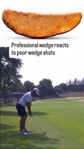 How does the wedge react? • The transition to a 12-team College Football Playoff format represents the most significant structural evolution in the history of the sport, effectively ending the exclusive four-team era to embrace a more inclusive postseason. Under this model, the five highest-ranked conference champions earn automatic bids, while the remaining seven spots are filled by at-large selections determined by the selection committee. A critical component of this expansion is the introduc
