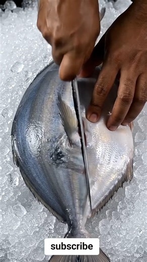 Ice Fresh Fish Cutting ❄️🐟🔪