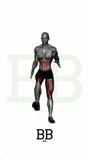 Standing Toe Touch (ABS/LEGS): The Ultimate Active Stretch for Hamstrings & Core! 🦵🔥