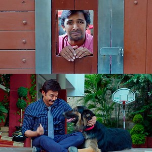 899K views · 8.8K reactions | हीरो और Dog का इमोशनल कॉमेडी सीन होगा।  Now the drama begins! Watch this hilarious and heart-touching moment of pure Realationship with Dog Movie Name : #F2 Cast : #VenkateshDaggubati #VarunTej #Tamannaah #MehreenPirzada #trending #EmotionalScene #southmovie #Film #Drama #Bollywood #Movieclips #Scene #Superhit #Viral #Trending #Adityamovies #hindidubbed | Aditya Movies | Facebook