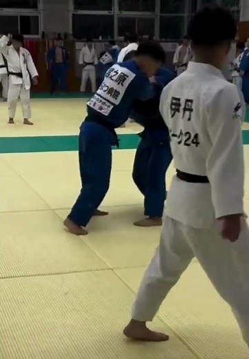 Judo Training Basics | Throws, Techniques & Tips for Beginners