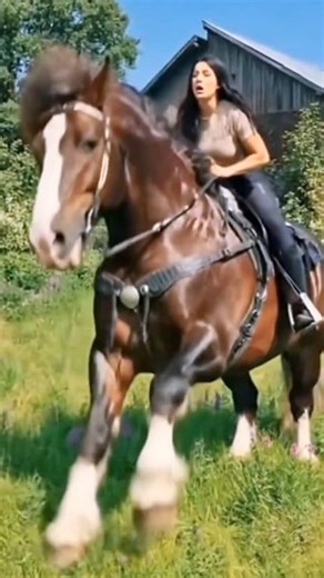Look at these shiny new riding boots for my next horse ride. ​#RidingBoots ​#EquestrianLife ​#HorseLove | Galloping Grace