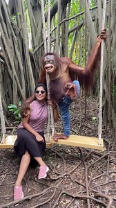 8.9M views · 97K reactions | चिम्पैंजी के साथ चिपक कर फोटो खिंचवा रही...