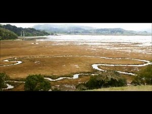 Sea-level Rise Scenario for San Francisco Bay Estuary - China Camp Tides