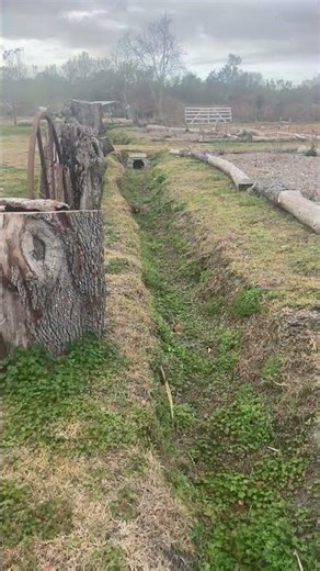 Who's Digging all these Holes on the Farm?