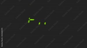 The inscription The end slowly shimmers on a black screen