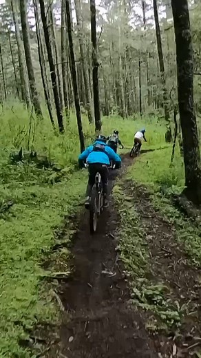 Welcome to the green room. Jump in the train with Patricio, Hans, Douglas and Tanus as we test the limit of grip for the 2025 edition of Yeti Cycles Mexico gathering in Oaxaca. Best of times with an amazing group of amigos! #followcamfriday #yetigathering #mexico #mtb Yeti Cycles Smith WTB Ergon Bike | Nate Hills