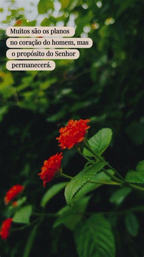 14 de janeiro de 2026