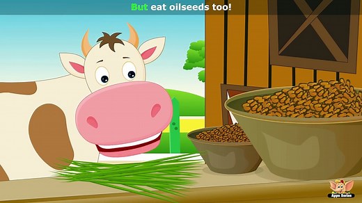 Cow Animal Rhyme, Cow Videos for Children