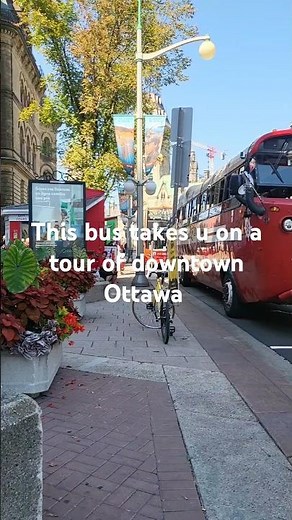 A bus that becomes a boat | Cruising on Ottawa River #ladydive #busorboat #ottawa #canada