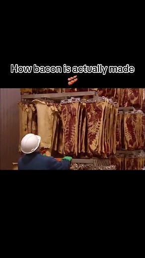 The Bacon Manufacturing Process Explained
