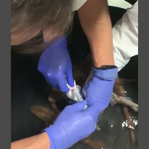 🔬 From the Lab to the Ocean: How Our Field Application Team Bridges Science and Market Needs 🌊