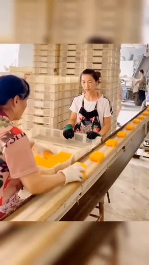Cheese Production Process in a Factory Setting
