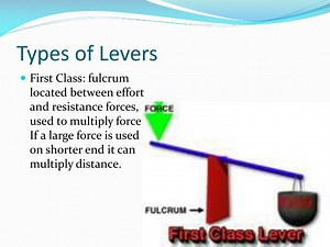 Types of Levers - SlideServe