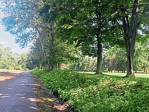 New $245,000 section of Tredway recreational trail in Allegheny Township opens