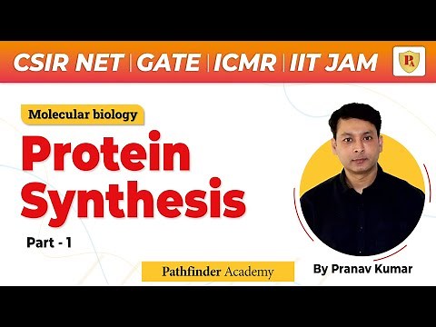 Protein synthesis | Molecular biology | Pranav Kumar | CSIR NET | GATE | ICMR | IIT-JAM | CUET-PG