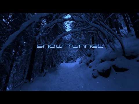 Deep Focus Night — Snow Tunnel Forest Path | Immersive Winter POV