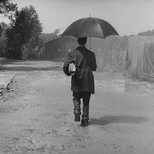 Cohen Media Group on Reels