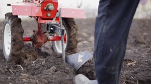 Premium stock video - Close up view of a cultivator tiller preparing garden soil, new seeding season on organic home vegetable farm. man pooling it