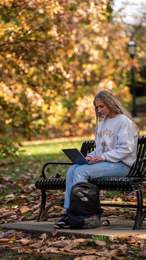 Mizzou | A new, all-in-one academic planning tool. Introducing Stellic, a new tool to help #Mizzou students plan, search and register for classes. | Instagram