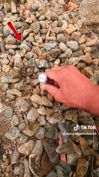 Metal Detecting Ideas for a Wonderful Day in the UK