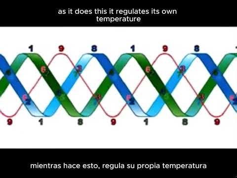 NIVEL 369. GEOMETRIA NUMERICA que sostiene LA REALIDAD #5tonivel #kabalahaplicada#JAVIERWOLCOFF
