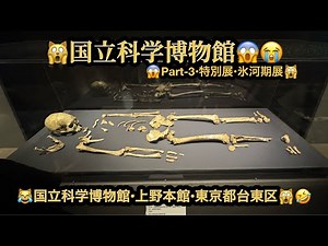 【４Ｋ】🙀国立科学博物館・PART-3（氷河期展）😱特別展・上野公園(19m22s)🤣#ヒーリング#Healing #riokazumiのピアノ語り