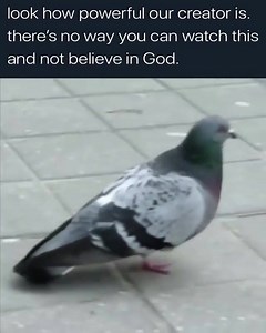 Bonzi Buddy’s ｅｘｐａｎｄｅｄMemeware.exe on Reels