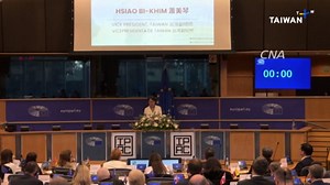 Vice President Hsiao Addresses IPAC in Brussels