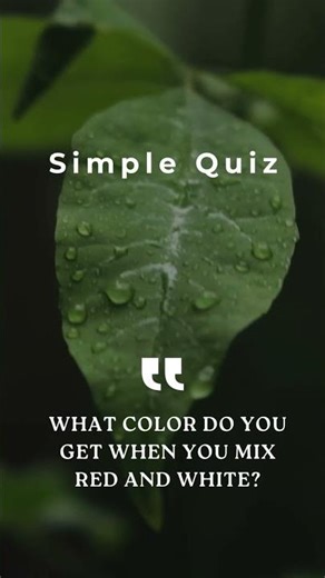 Simple Quiz 4
