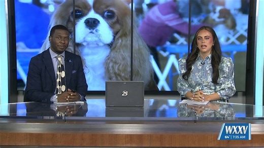 WXXV News 25’s Asia Ellis at The Crawfish Cluster Dog Shows - WXXV News 25