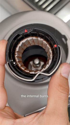 How to clean your coffee grinder 🧼🫘 #Breville
