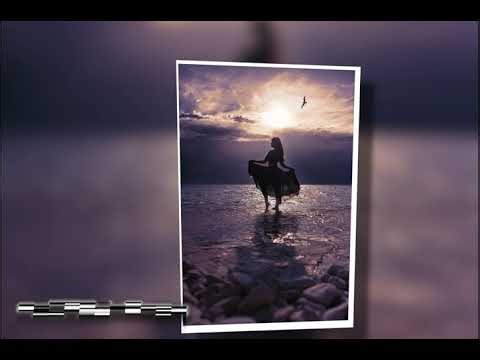 ☀️ A Nyár Legjobb Képe | Szeptemberi Fotós Kihívásunk Összes Alkotása 📸